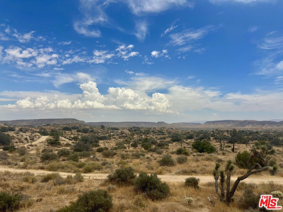 51195 Geronimo Trl, Pioneertown, CA 92268