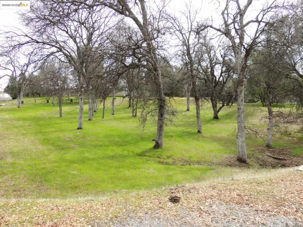 20915 Elderberry Way, Groveland, CA 95321-9335