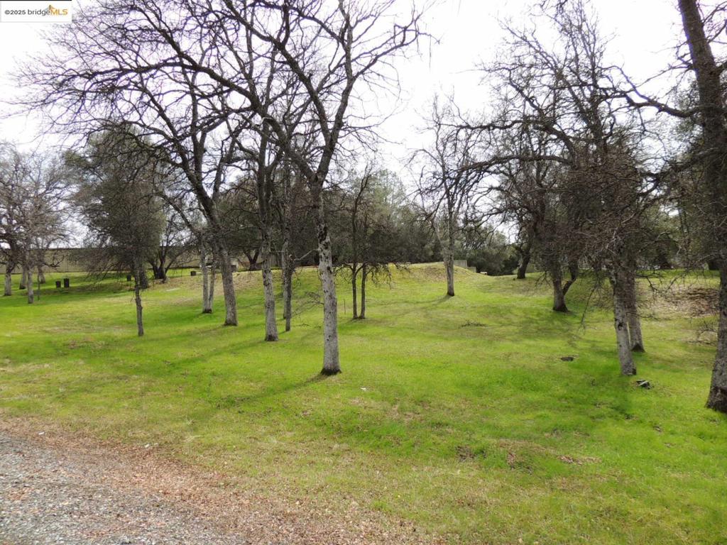 20915 Elderberry Way, Groveland, CA 95321-9335