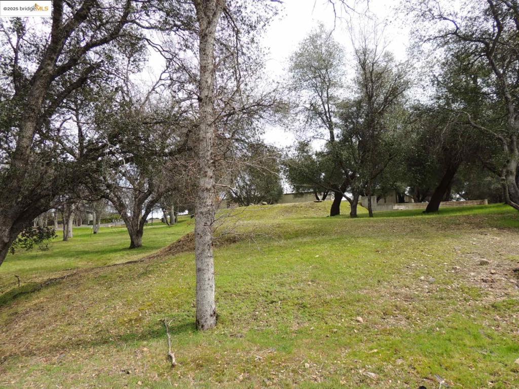 20915 Elderberry Way, Groveland, CA 95321-9335