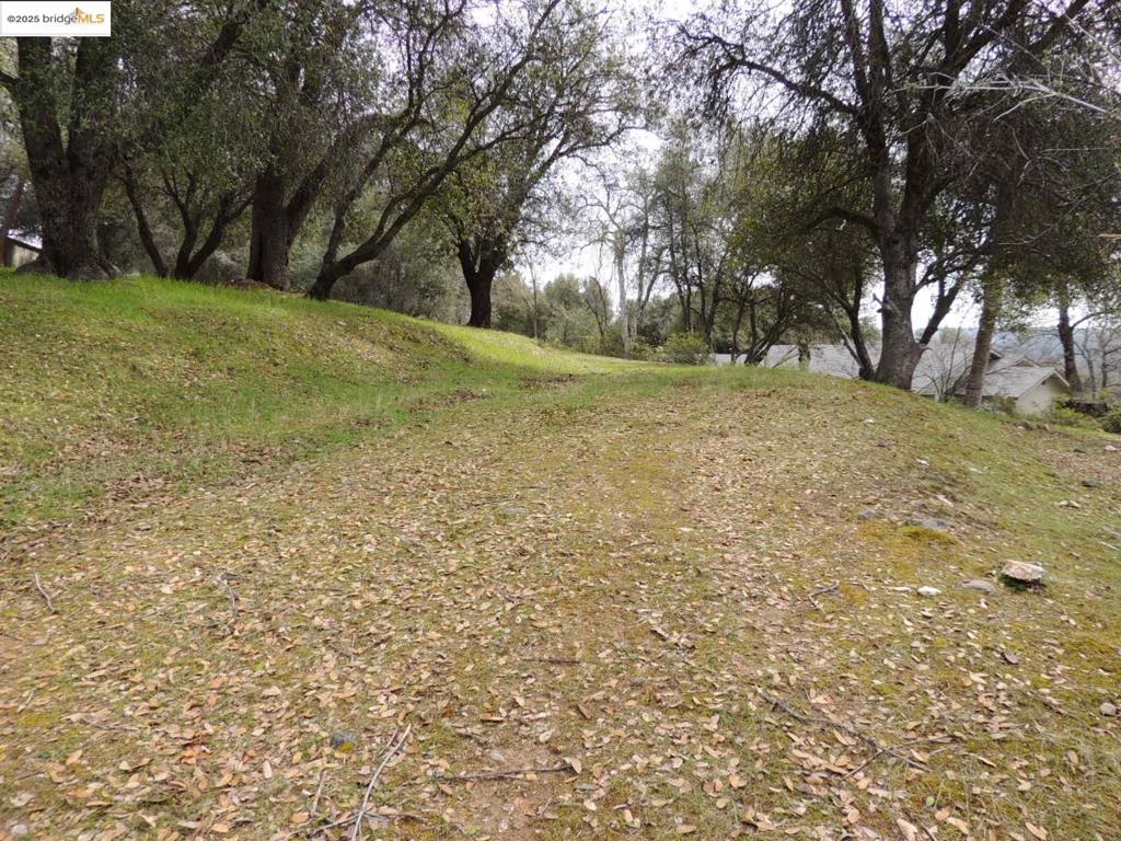 20915 Elderberry Way, Groveland, CA 95321-9335