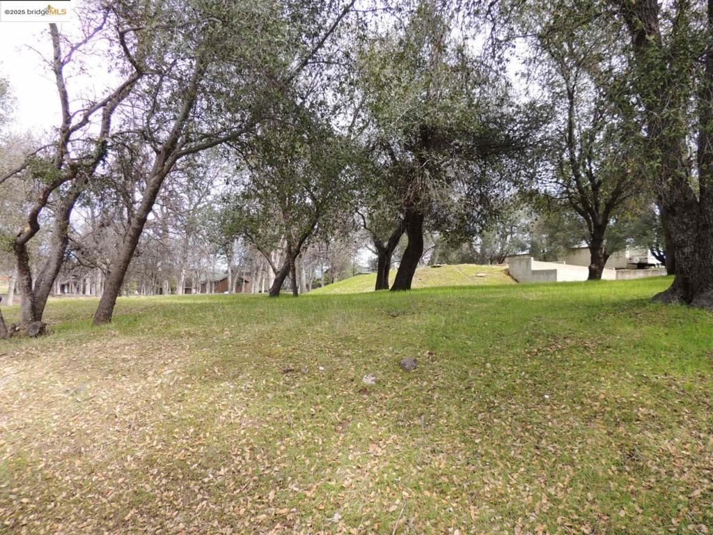 20915 Elderberry Way, Groveland, CA 95321-9335