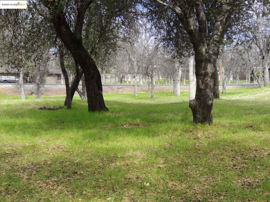 20915 Elderberry Way, Groveland, CA 95321-9335
