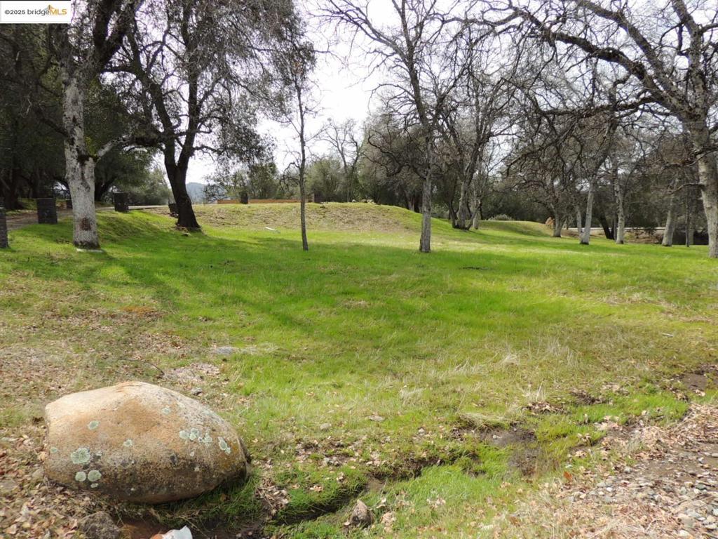 20915 Elderberry Way, Groveland, CA 95321-9335