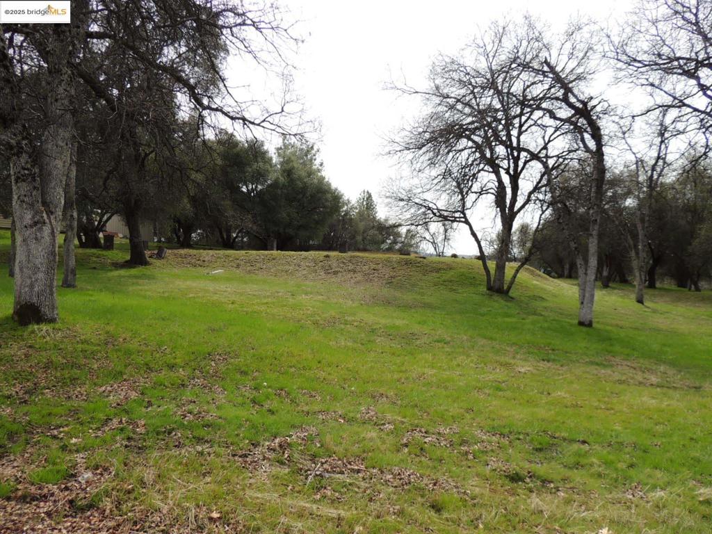 20915 Elderberry Way, Groveland, CA 95321-9335
