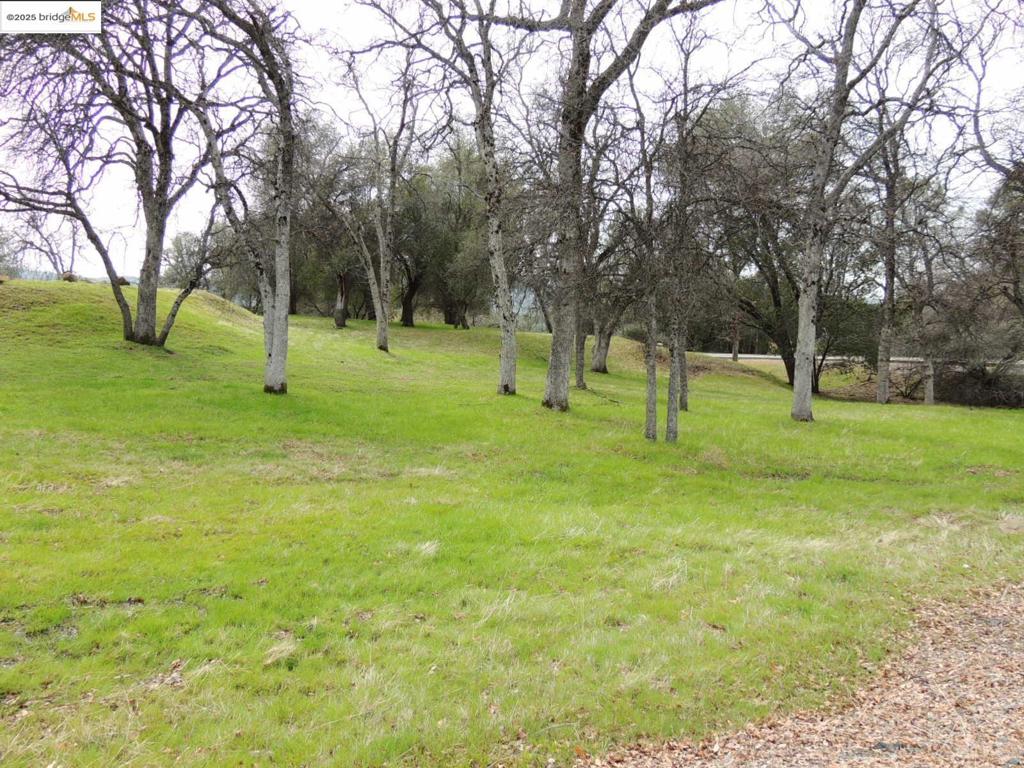 20915 Elderberry Way, Groveland, CA 95321-9335