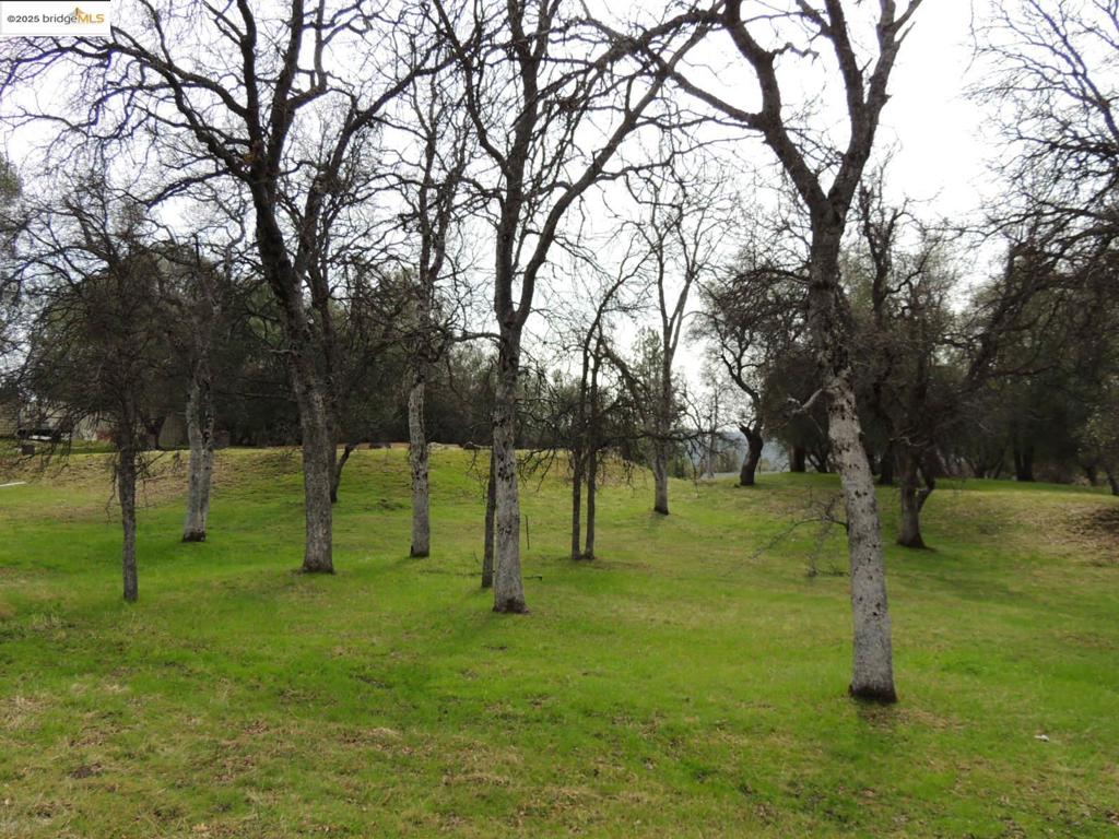 20915 Elderberry Way, Groveland, CA 95321-9335