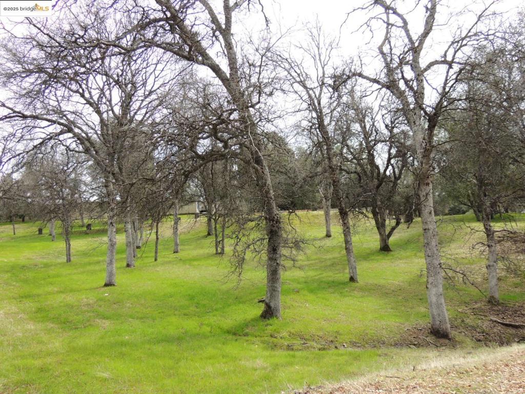 20915 Elderberry Way, Groveland, CA 95321-9335