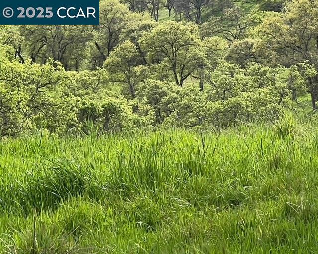 6 Frenchbar Rd, La Grange, CA 95329