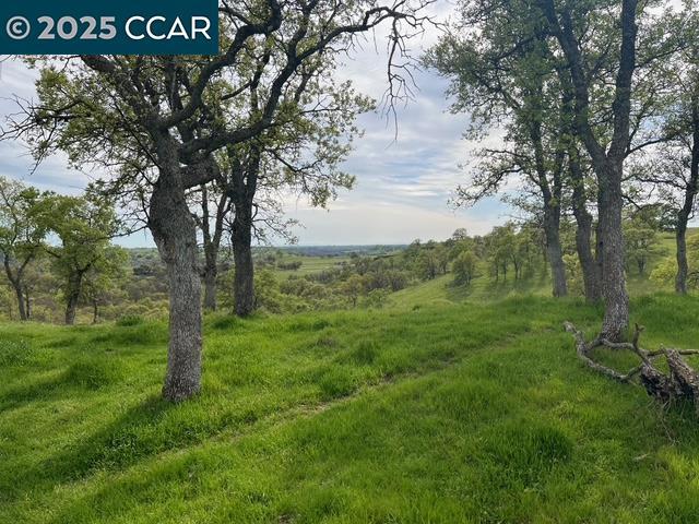 11 Frenchbar Rd, La Grange, CA 95329