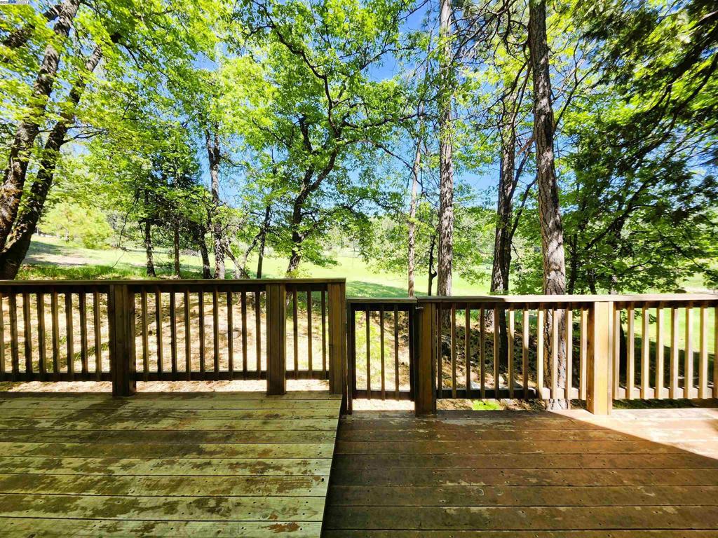 23875 Marshall Way, Twain Harte, CA 95383