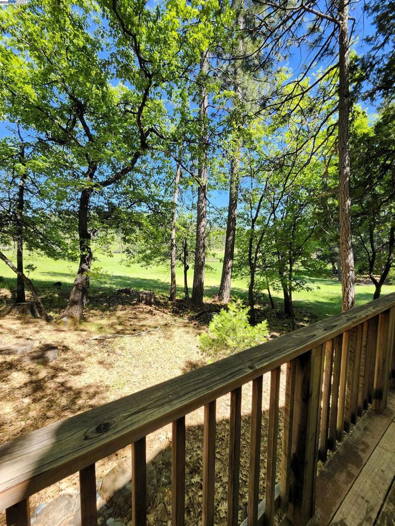 23875 Marshall Way, Twain Harte, CA 95383