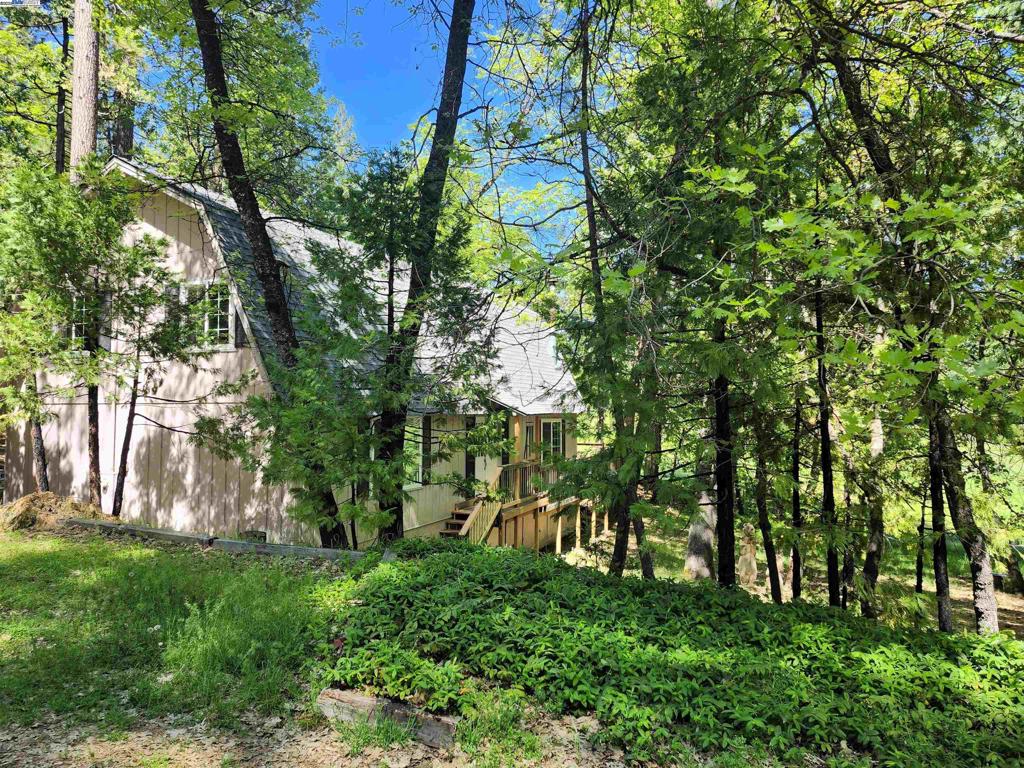 23875 Marshall Way, Twain Harte, CA 95383