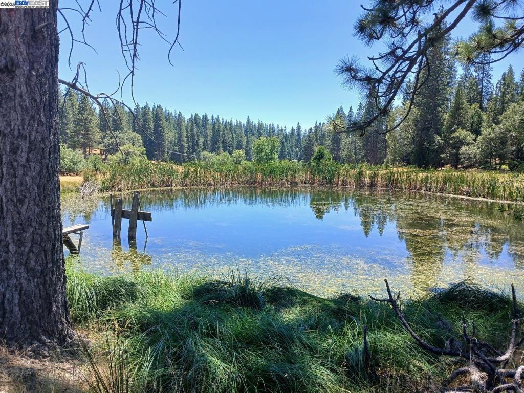 23875 Marshall Way, Twain Harte, CA 95383