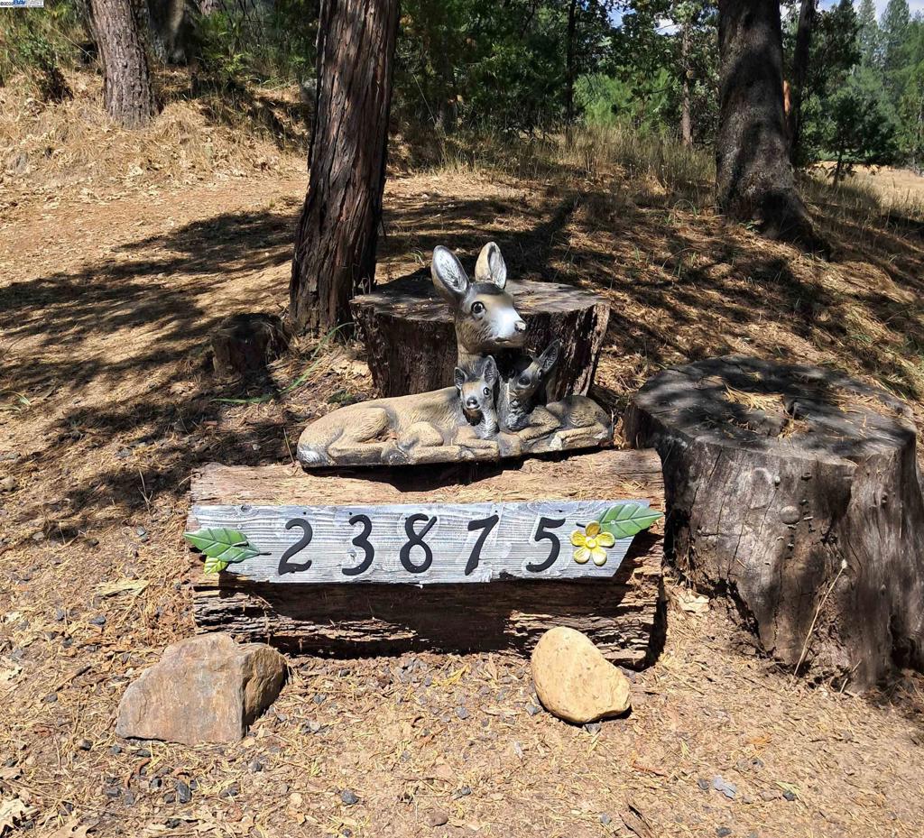 23875 Marshall Way, Twain Harte, CA 95383