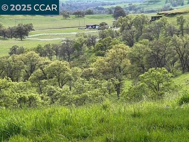 12 Frenchbar Road, La Grange, CA 95329