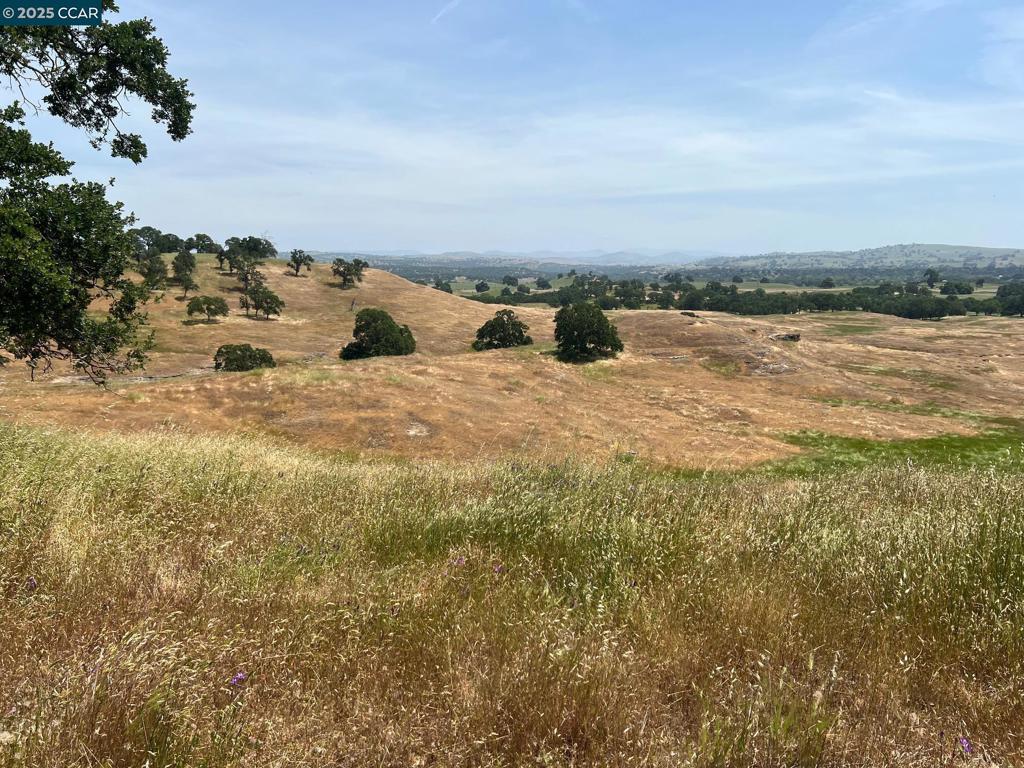 14 Frenchbar Road, La Grange, CA 95359