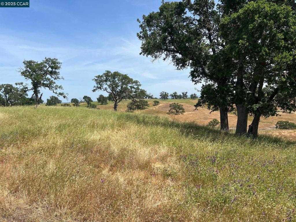 14 Frenchbar Road, La Grange, CA 95359