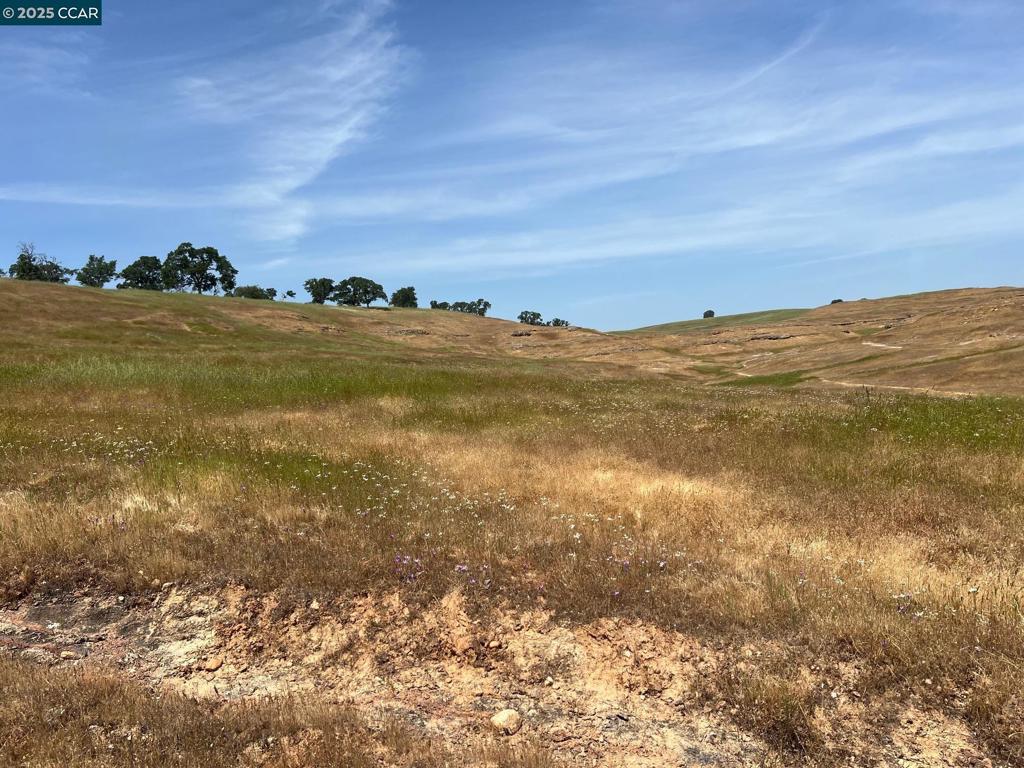 14 Frenchbar Road, La Grange, CA 95359