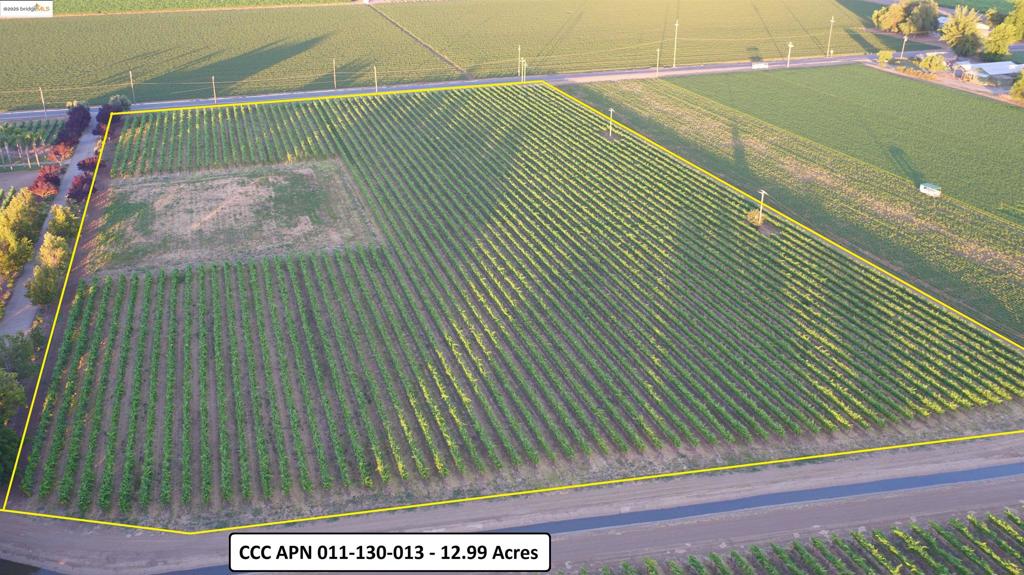 11680 Byron Highway, Brentwood (CC), CA 94513