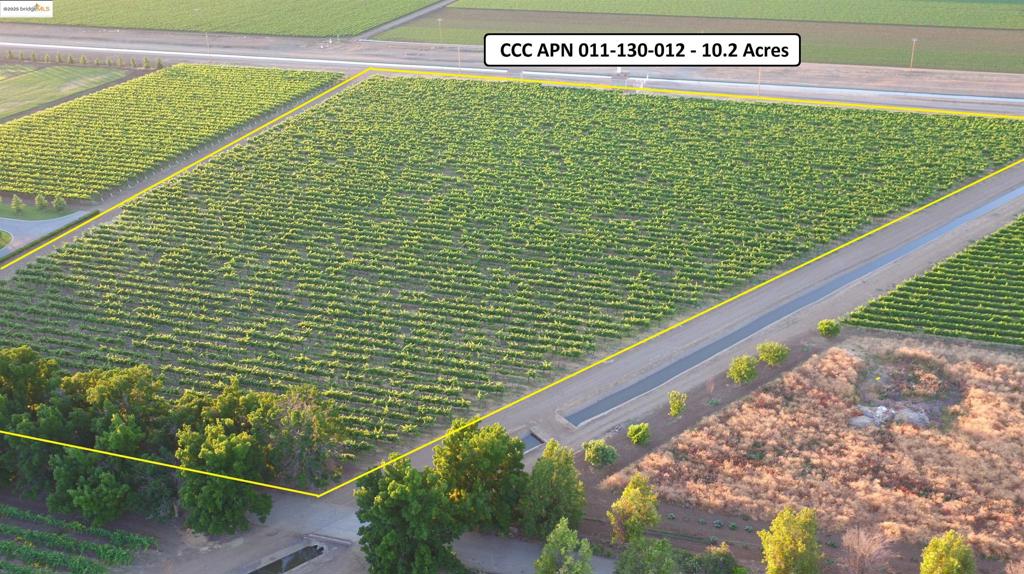 11650 Byron Highway, Brentwood (CC), CA 94513