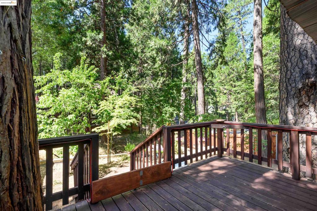 22846 Fuller Rd, Twain Harte, CA 95383