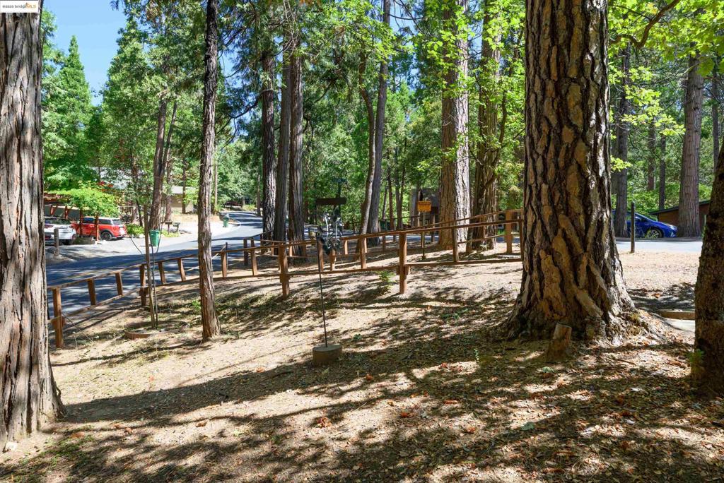 22846 Fuller Rd, Twain Harte, CA 95383