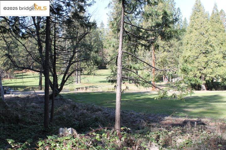22846 Fuller Rd, Twain Harte, CA 95383