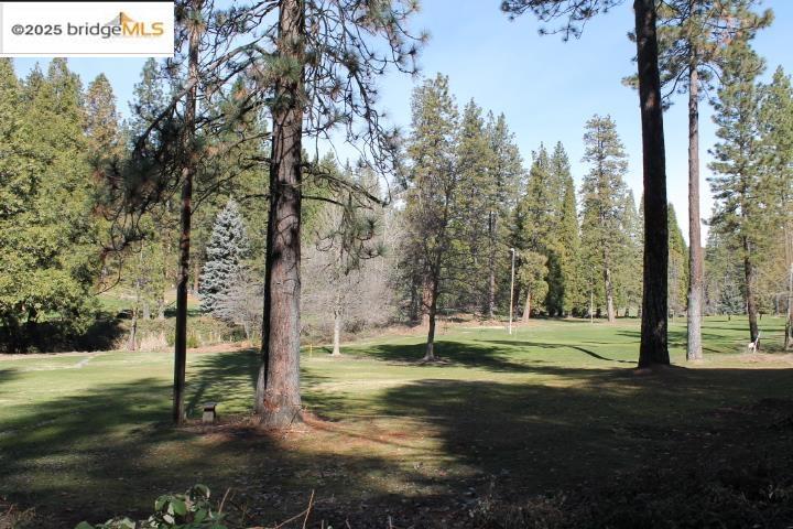 22846 Fuller Rd, Twain Harte, CA 95383
