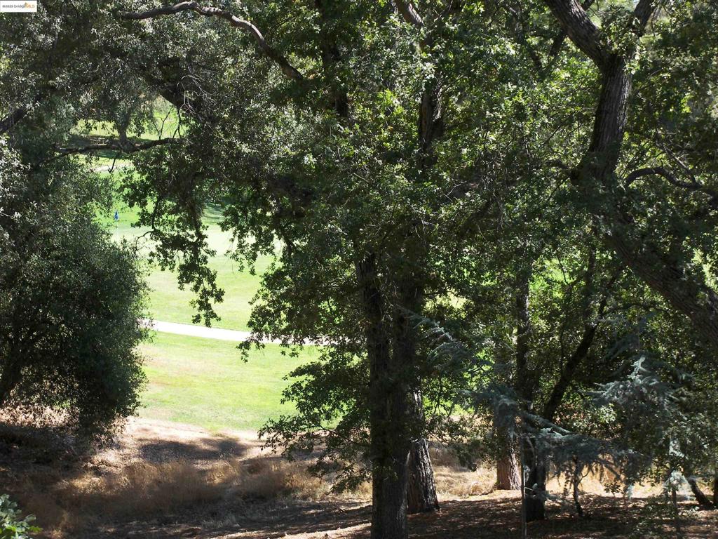 19195 Ferretti Rd., Groveland, CA 95321