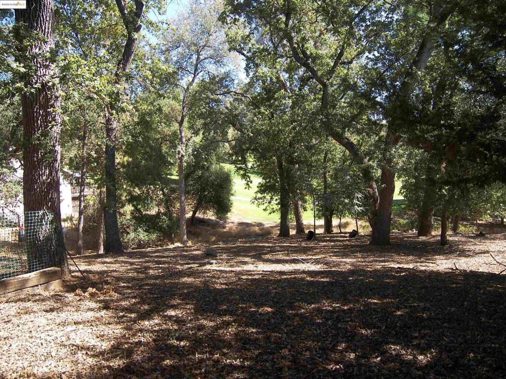 19195 Ferretti Rd., Groveland, CA 95321
