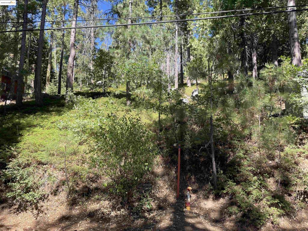 25476 Rebekah Rd, Long Barn, CA 95335