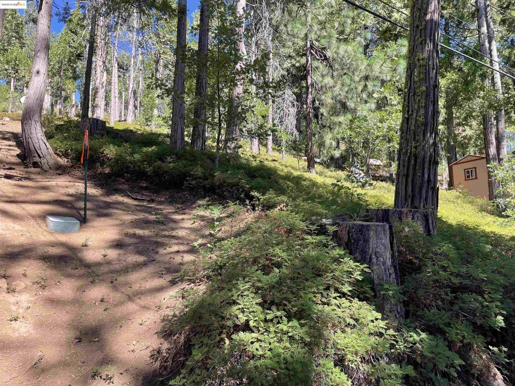25476 Rebekah Rd, Long Barn, CA 95335