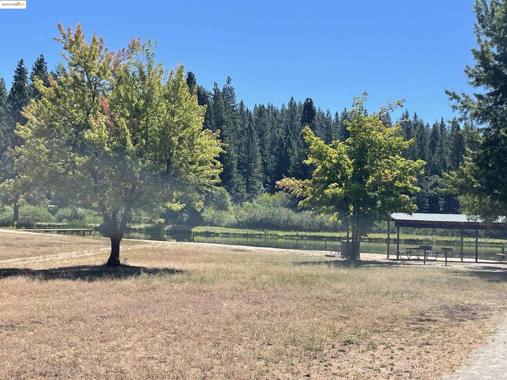 25476 Rebekah Rd, Long Barn, CA 95335