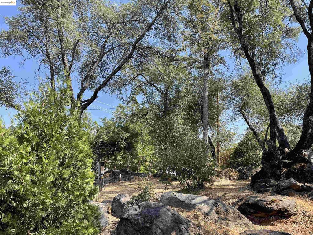 19360 Susan Way, Sonora, CA 95370
