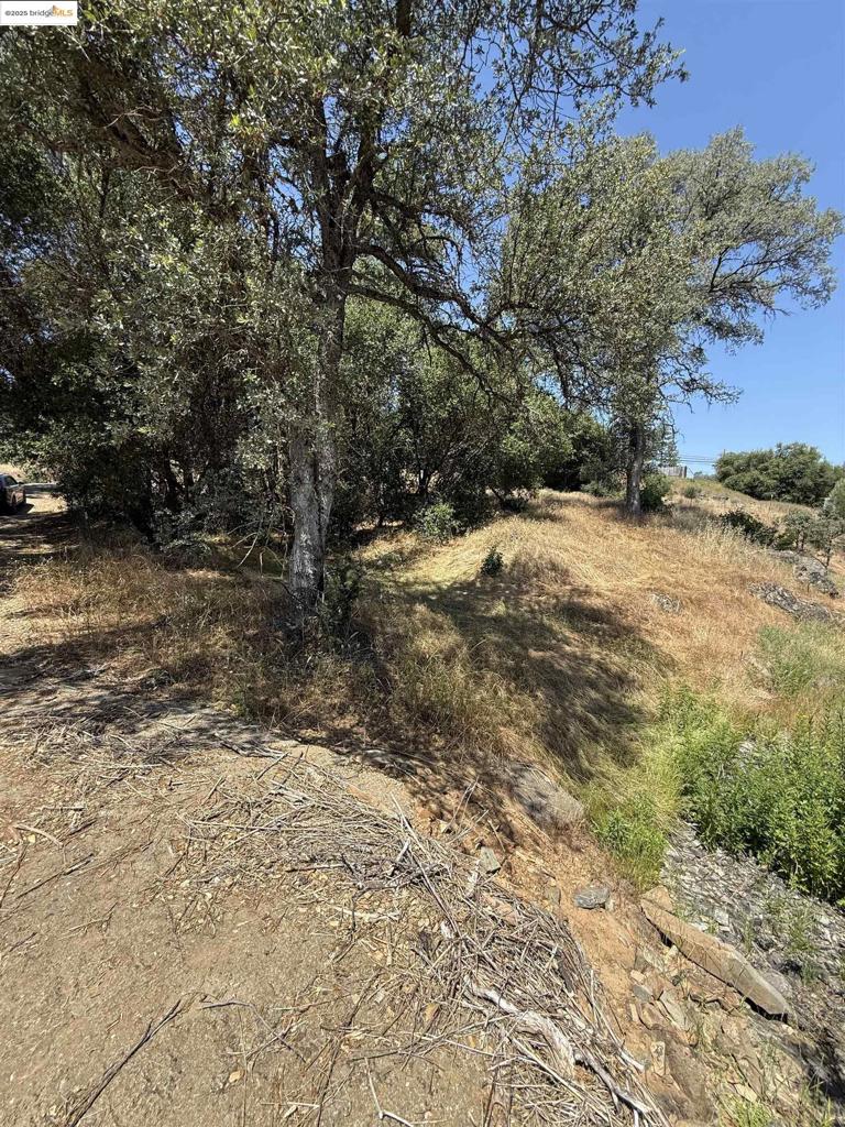5306 Greeley Hill Road, Coulterville, CA 95311