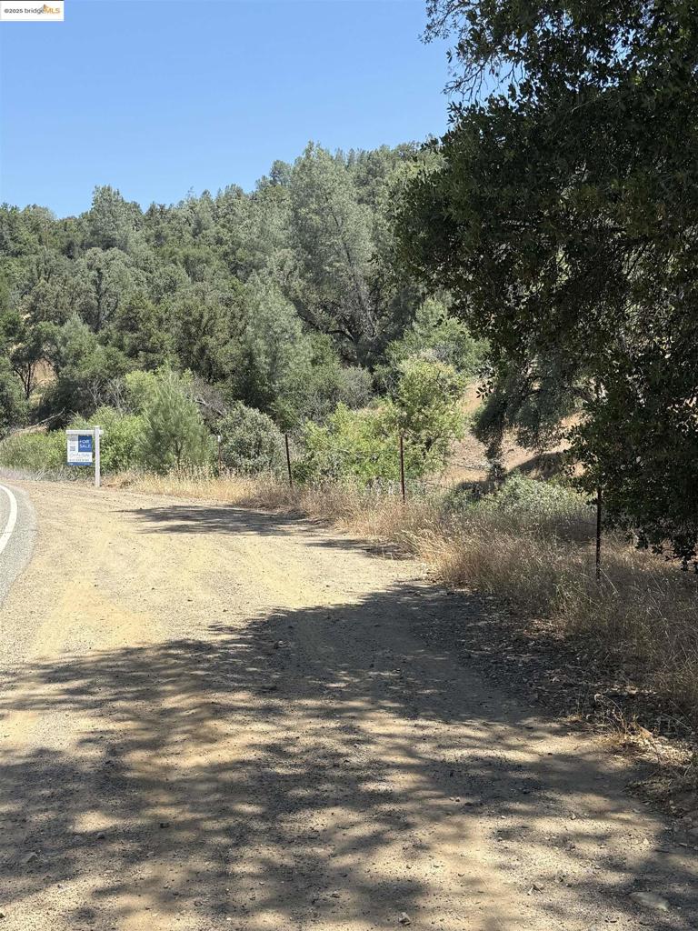 5306 Greeley Hill Road, Coulterville, CA 95311