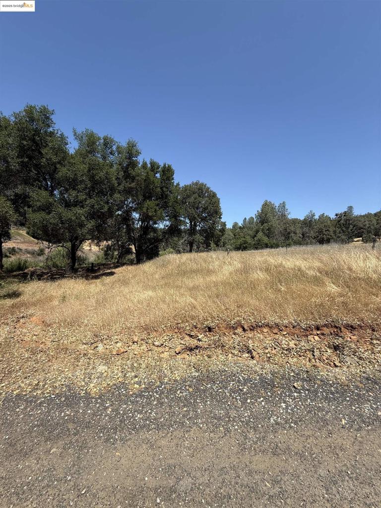 5306 Greeley Hill Road, Coulterville, CA 95311