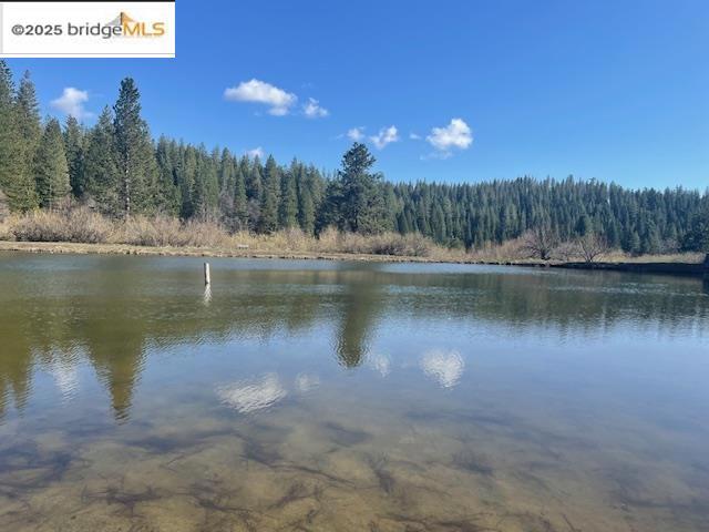 25481 David Dr, Long Barn, CA 95335