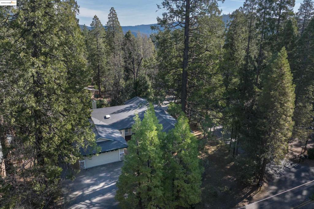 22749 Confidence Rd, Twain Harte, CA 95383