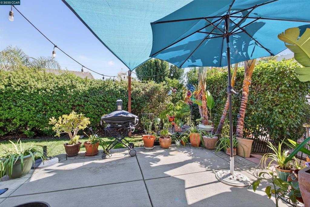 281 Black Amber Way, Brentwood (CC), CA 94513