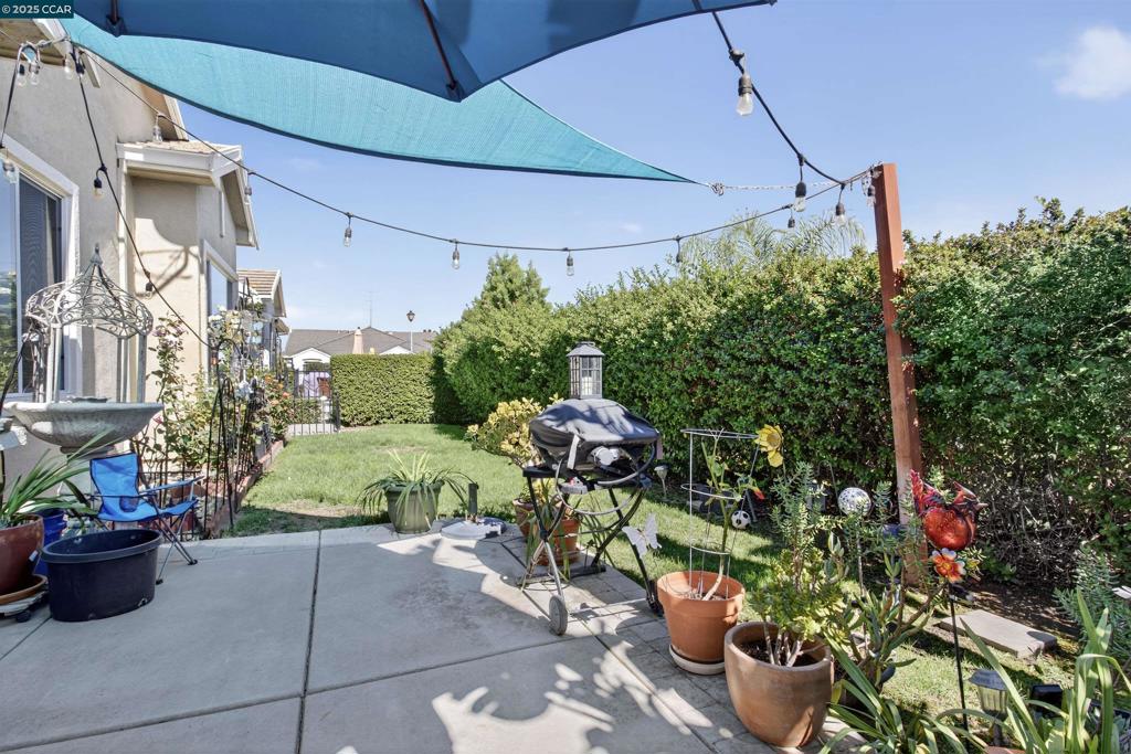 281 Black Amber Way, Brentwood (CC), CA 94513