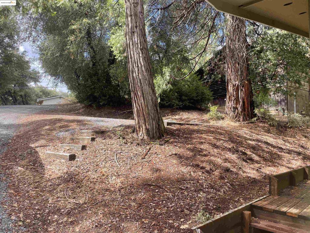 21818 Fallview Dr, Sonora, CA 95370