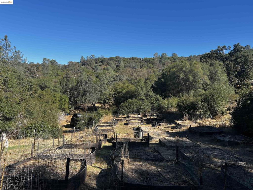 3004 Dusty Rose Ln, Mariposa, CA 95338