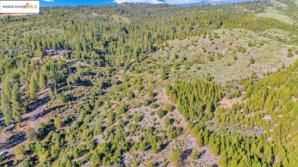 0 0000 Jackass Creek Rd, Groveland, CA 95321