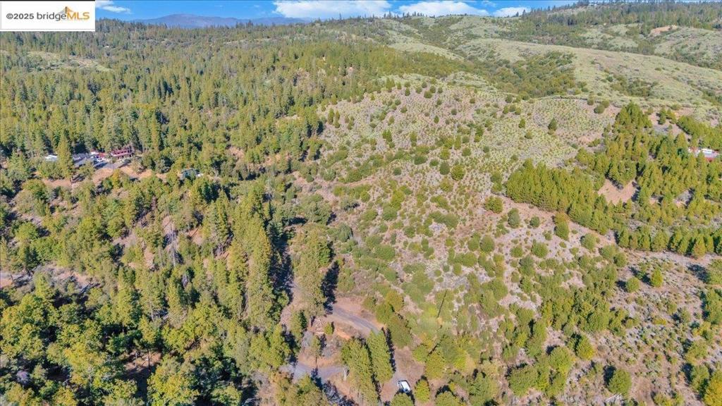 0 0000 Jackass Creek Rd, Groveland, CA 95321