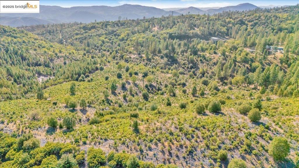 0 0000 Jackass Creek Rd, Groveland, CA 95321