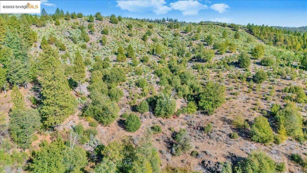 0 0000 Jackass Creek Rd, Groveland, CA 95321