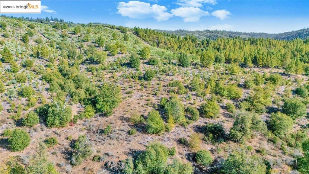 0 0000 Jackass Creek Rd, Groveland, CA 95321