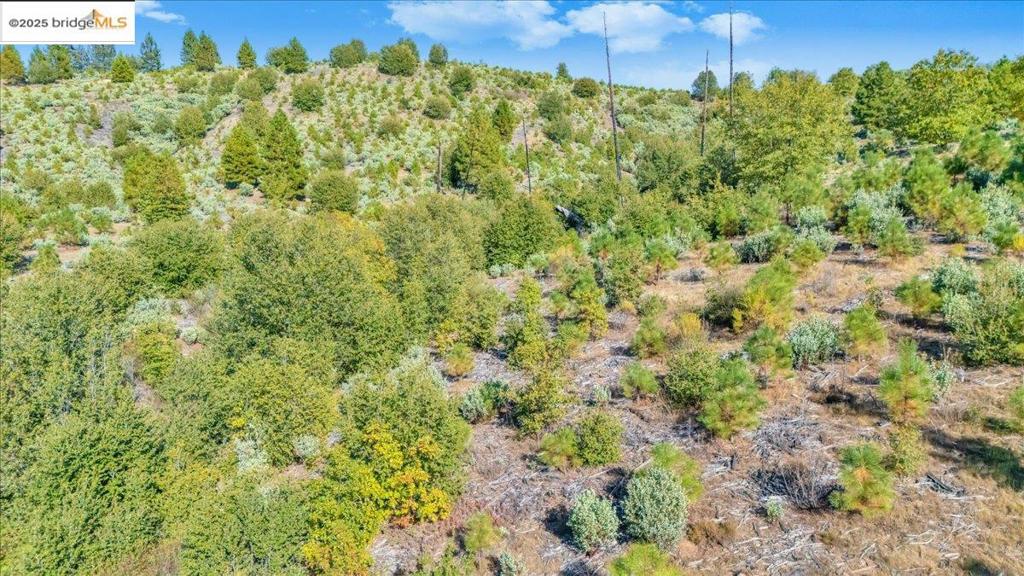 0 0000 Jackass Creek Rd, Groveland, CA 95321